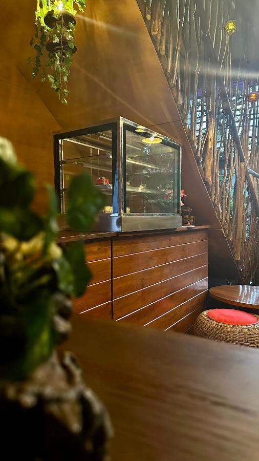 A Lounge Hostel And Cafe 엘라 외부 사진
